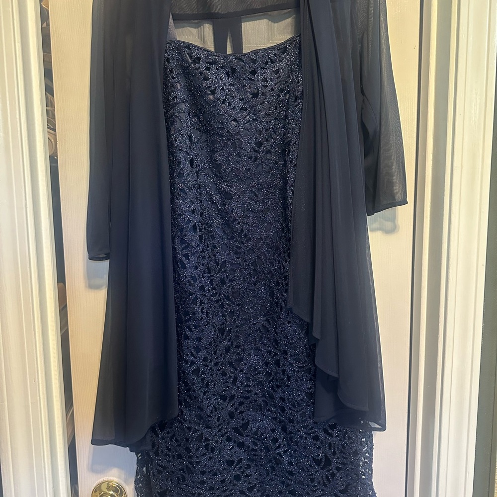 Elegant Navy Knee Length Dress with Sheer Overlay